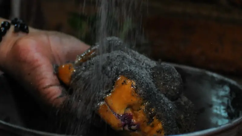 WhatsApp Image 2023 11 01 at 12.24.38 PM 3